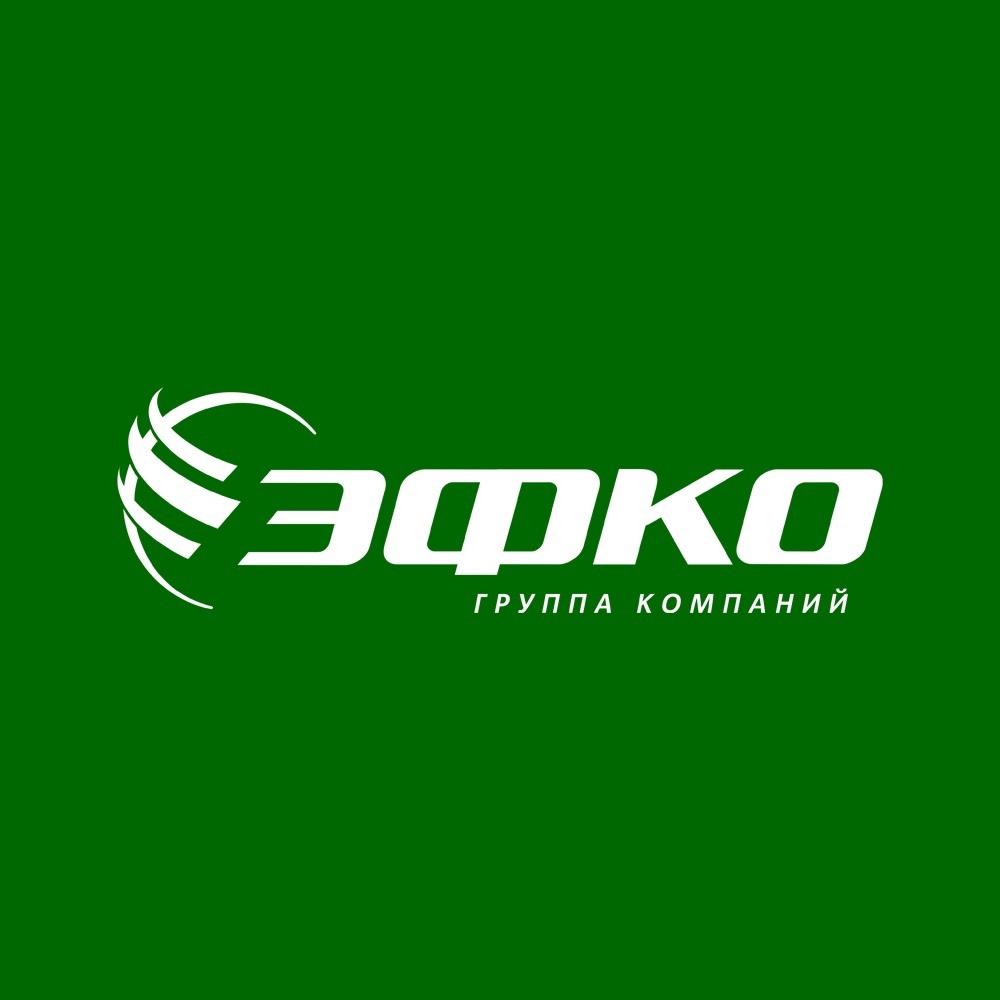 ЭФКО лого.jpg